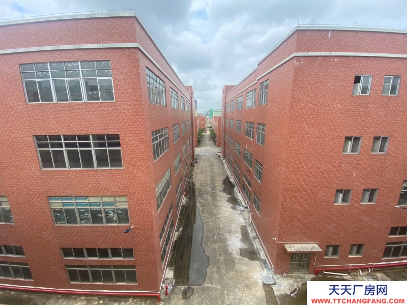 (出租) 广东中山丙二类消防大型红本仓库厂房出租