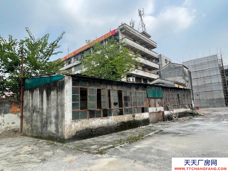 (出租) 广东中山园区路大停车位多，周边商业配套，交通方便，层高16米，无柱位
