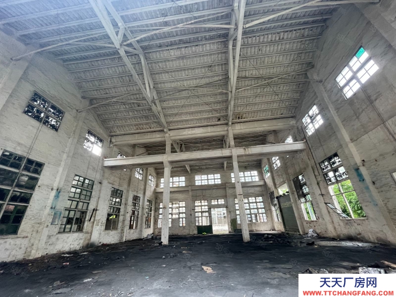 (出租) 广东中山园区路大停车位多，周边商业配套，交通方便，层高16米，无柱位