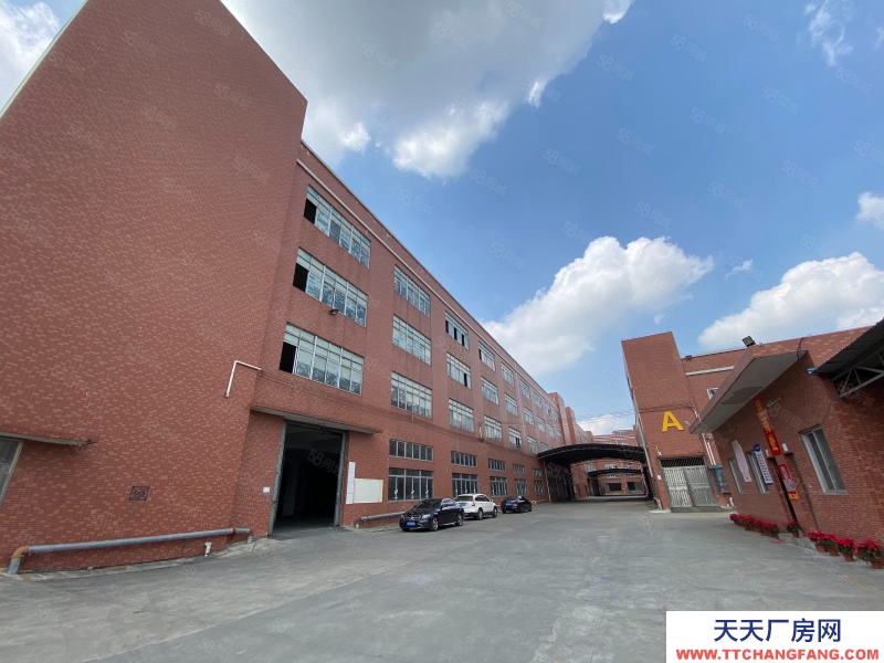 (出租) 广东中山民众60000方丙二级消防仓库出租