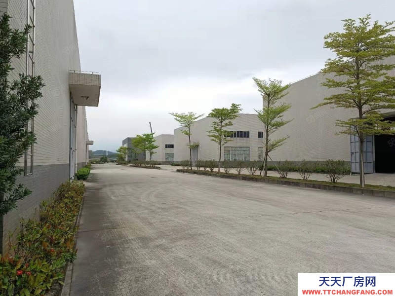 (出租) 广东中山西区新出独门独院物流仓库20000平方，大小可分租