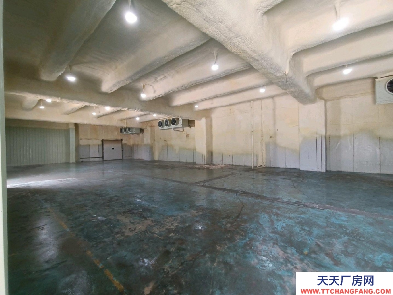 (出租) 广东中山冷库冷藏出租分租整租(接冷藏仓储服务)