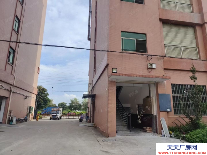 (出租) 广东中山永兴楼上厂房出租，花园式厂房1800方大小可分租