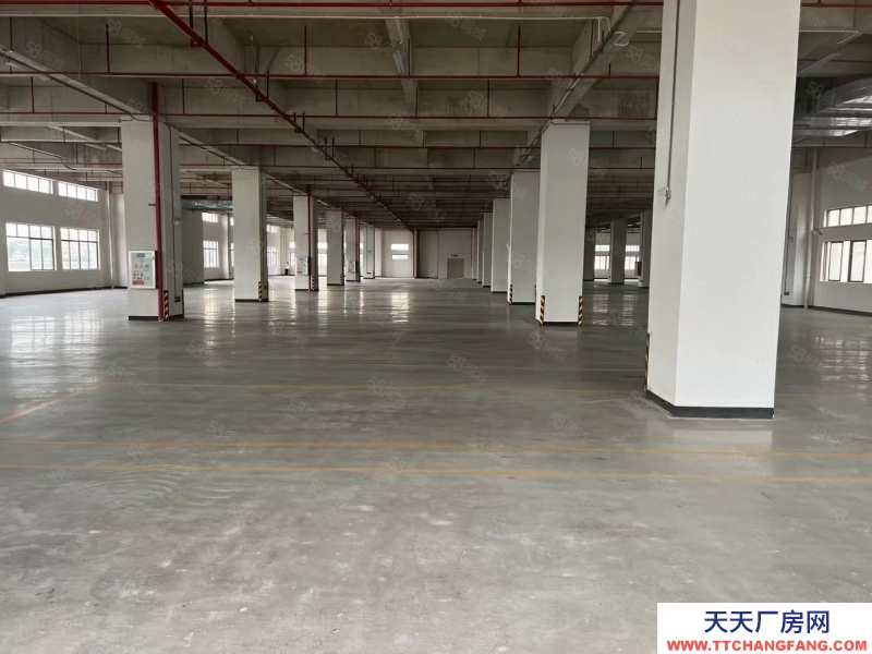 (出租) 广东中山东凤豪华工业园区楼上3900方，1500起分！豪华精装办公室