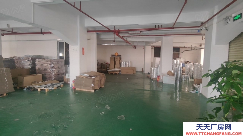 (出租) 广东中山小榄埒西一市场附近独门独院楼房5楼1150方，现成水电办公室