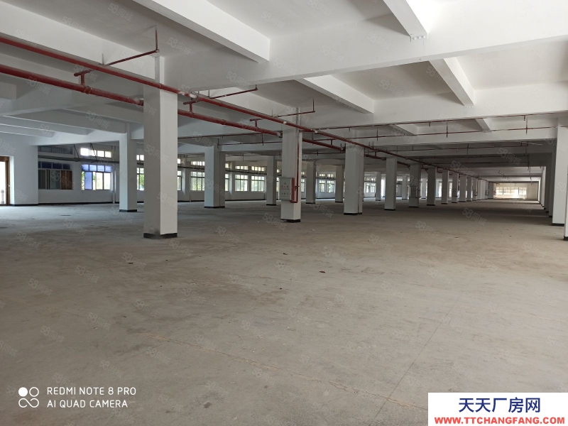 (出租) 广东中山市火炬开发区沿江东路边高新科技园 100000平方米出租