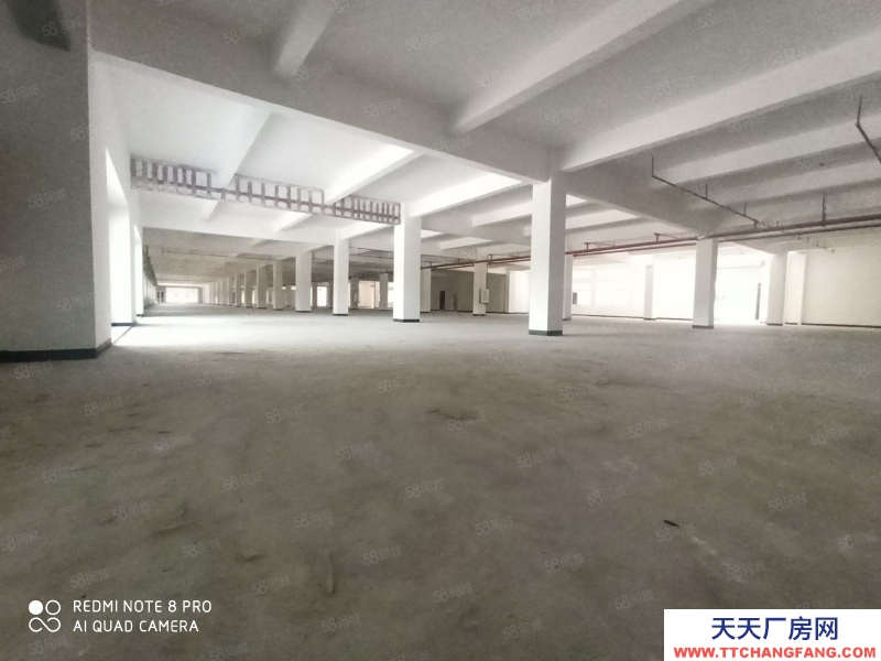 (出租) 广东中山市火炬开发区沿江东路边高新科技园 100000平方米出租