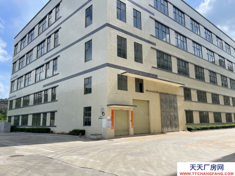(出租) 广东中山东利工业区8000平独院标准 厂房仓库招租红本双证