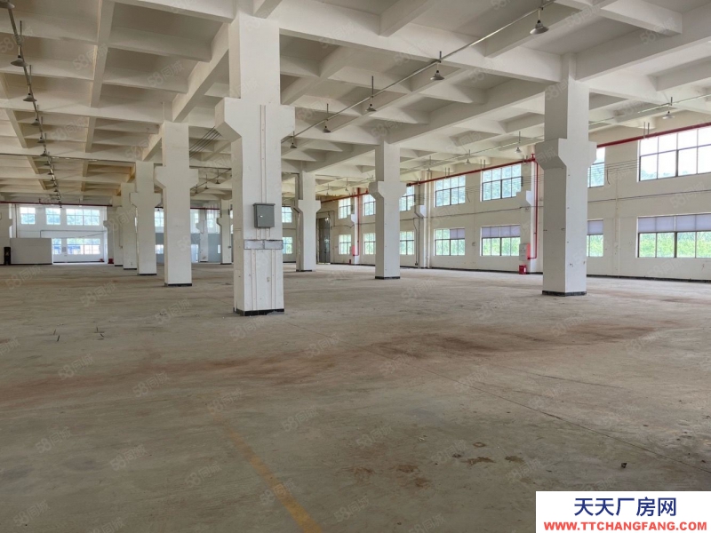 (出租) 广东中山东利工业区8000平独院标准 厂房仓库招租红本双证