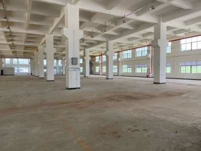 (出租) 广东中山东利工业区8000平独院标准 厂房仓库招租红本双证图4