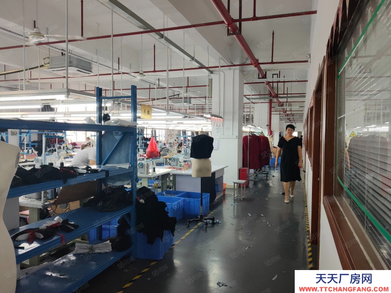 (出租) 广东中山9蚊，沙溪镇 服装厂3000平方（可分租）精装修现成办公室