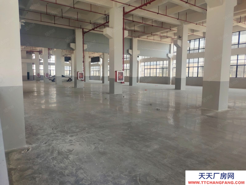 嘉兴嘉善(出租) 罗星街道新出单层1000平，1500平，2000平，仓库出租