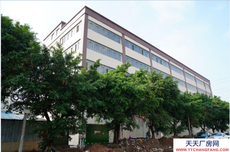 (出租) 广东中山业主新建厂房2万方出租可办环评，可分租四边大路小榄工业大道旁