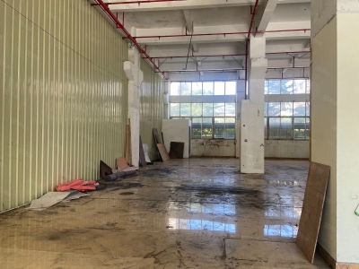 (出租) 广东中山小面积400方标准一楼园区厂房出租图2