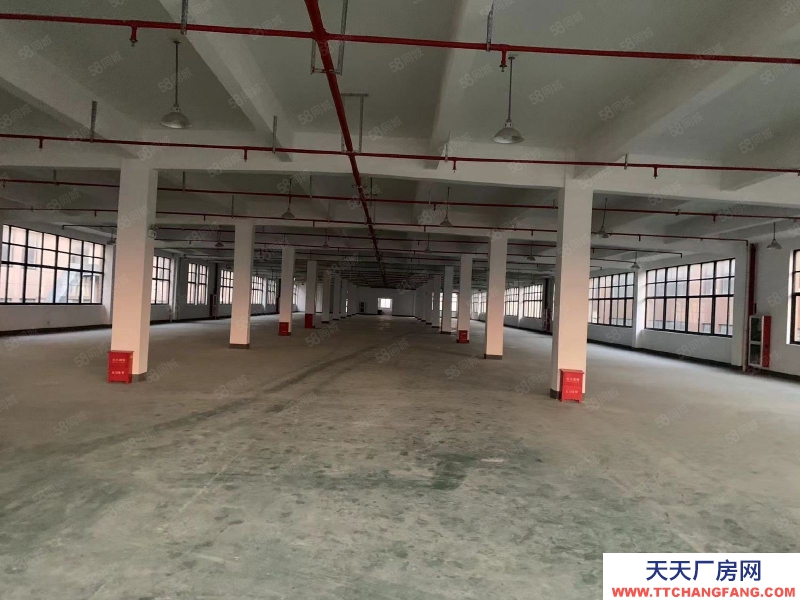 嘉兴嘉善(出租) 家具厂房2000平出租，可挂靠