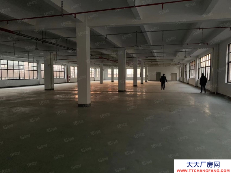 嘉兴嘉善(出租) 家具厂房2000平出租，可挂靠
