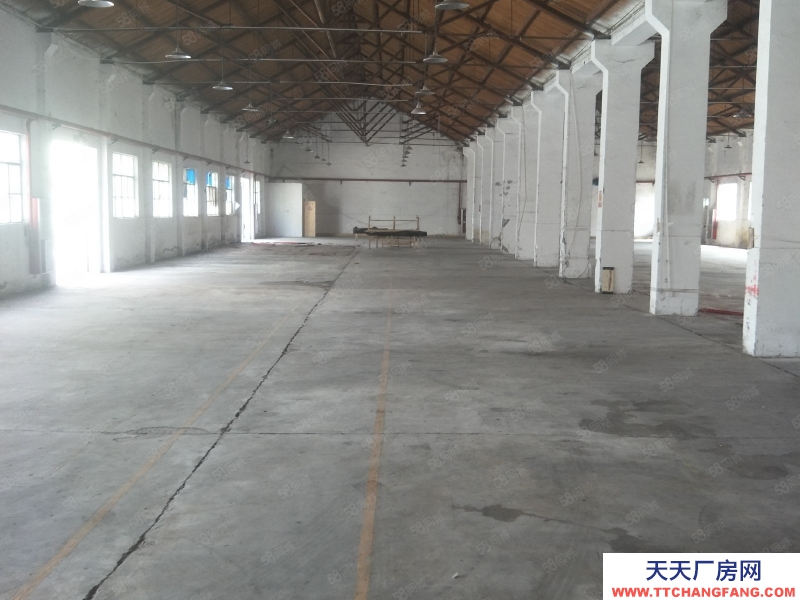 嘉兴嘉善(出租) 商城附近800平标准厂房出租，大车可进，交通便利，合同长签