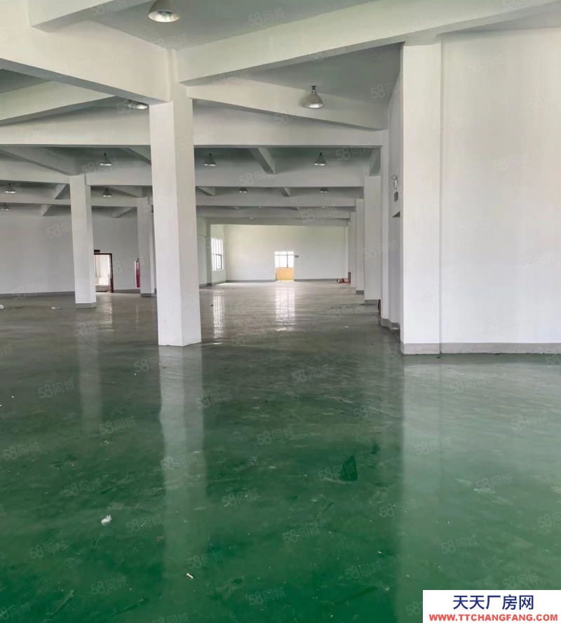 嘉兴嘉善(出售) 天凝10亩独门独户厂房正在出售中