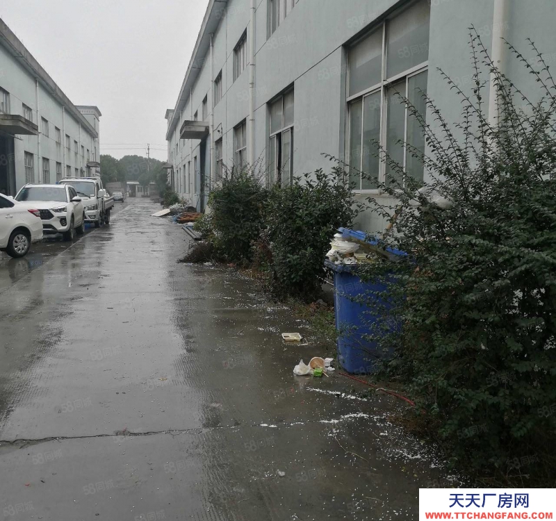 嘉兴嘉善(出售) 姚庄工业区新出13亩标准厂房出售中