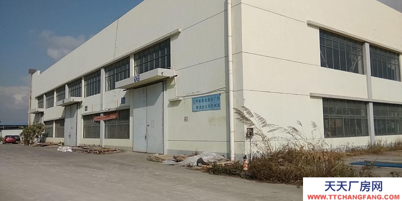 (出租)玉林博白城区第十八小学旁的整栋房屋