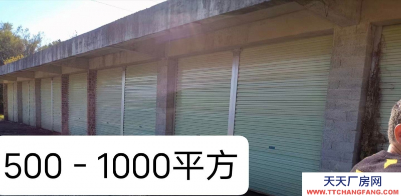 (出租) 玉林博白火车站附近厂房出租交通便利