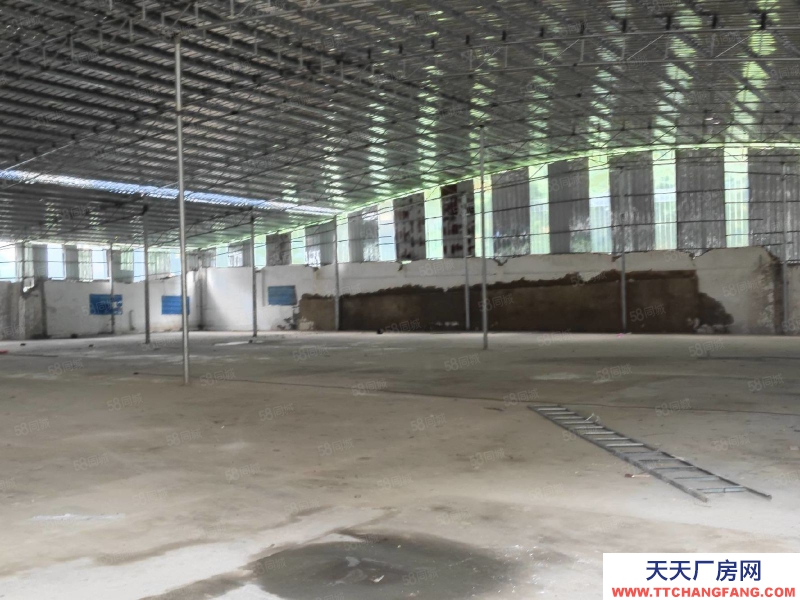 (出租) 玉林玉州区玉福路 仓库1700平方 8块钱一方 整租