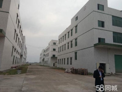 邵阳市新邵区 全新独栋厂房出租出售图4