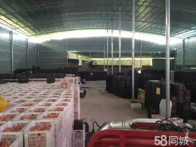 邵阳市新宁县 新宁万塘大型厂房出售图3