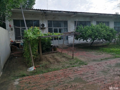 德州乐陵六亩独院清净，可作工厂，也可以作仓储。图1