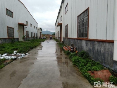 (出租)玉林容县 可以入大车，水电齐全图1