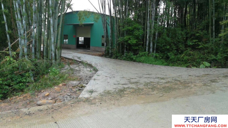 (出租) 广东韶关新丰县马头镇厂房仓库招租