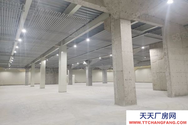 (出租) 广东佛山狮山罗村 冷库冻库 招租面积不限可仓库全托管服务业主直租