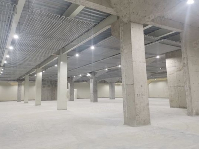 (出租) 广东佛山狮山罗村 冷库冻库 招租面积不限可仓库全托管服务业主直租图1