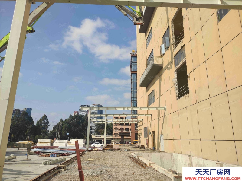 (出租) 广东佛山狮山罗村 冷库冻库 招租面积不限可仓库全托管服务业主直租
