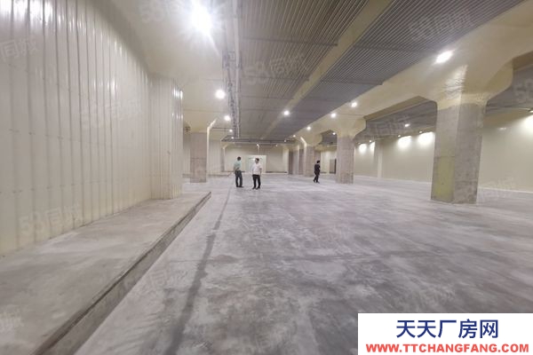 (出租) 广东佛山狮山罗村 冷库冻库 招租面积不限可仓库全托管服务业主直租