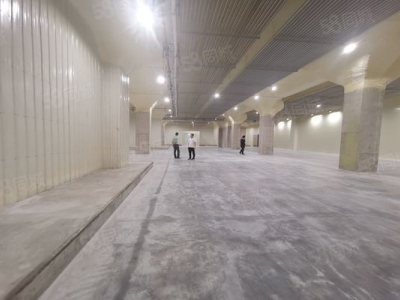(出租) 广东佛山狮山罗村 冷库冻库 招租面积不限可仓库全托管服务业主直租图4