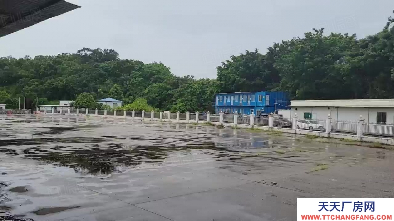(出租) 广东佛山顺德8000方高台仓出租，多面平台,.丙二类喷淋消防,带分拔