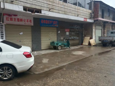 岳阳市岳阳楼区 岳阳新天地附近房东自建标准厂房仓库房东优价出租图1
