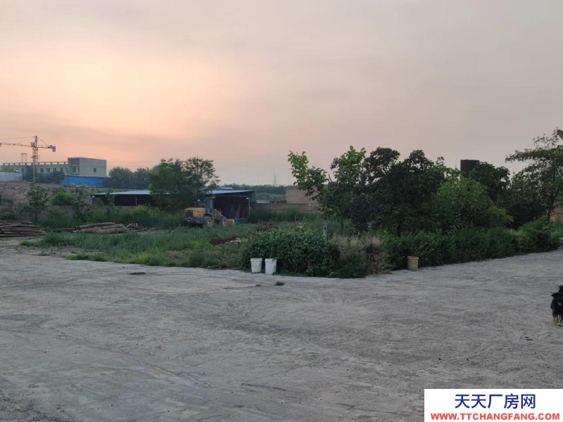 (出租) 整租，果园，超大场地，价格适合水电齐全