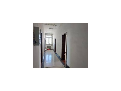 (出租) 大兴生物医药基地东大河北路南国有土地库房出租图2