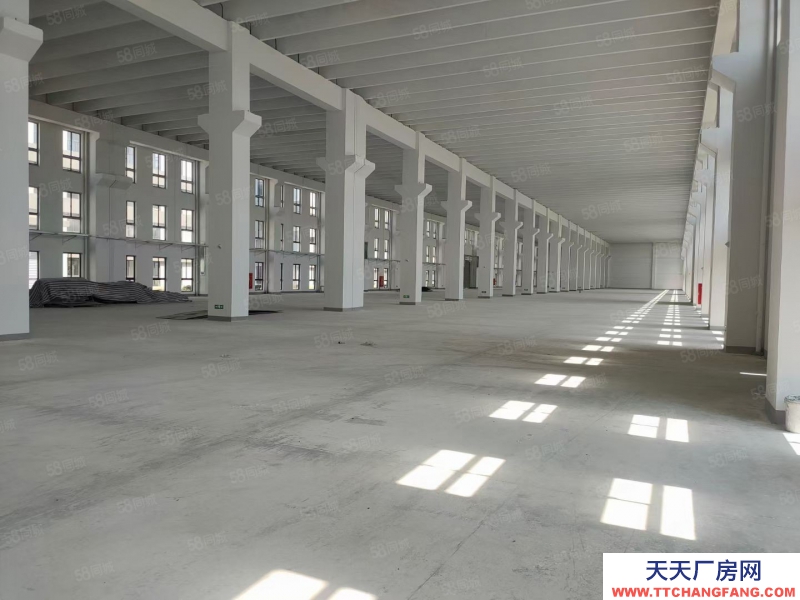 嘉兴海盐(出售) 海盐16亩土地，厂房面积6500平方出售，单层厂房层高13米