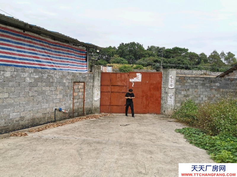(出租) 玉林兴业仓库，厂房，农家乐，中药加工厂。