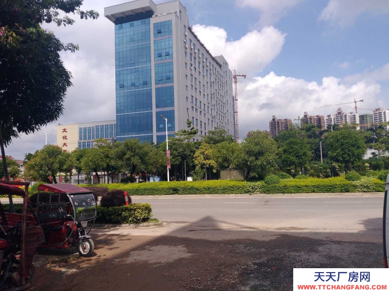(出租) 梧州长洲区三龙大道文化大厦对面仓库