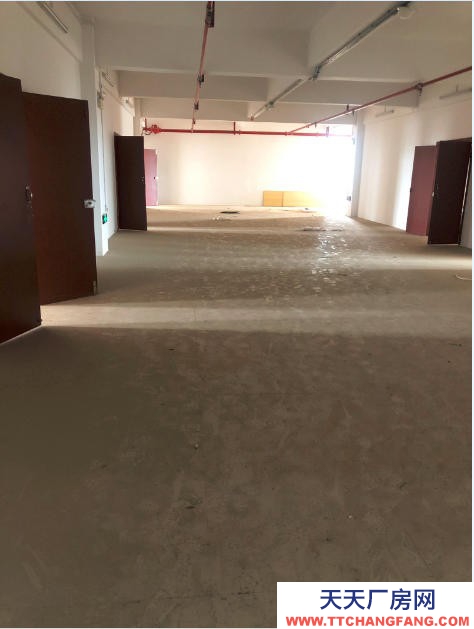 (出租) 梧州长洲站附近拥军大厦办公场地及酒店