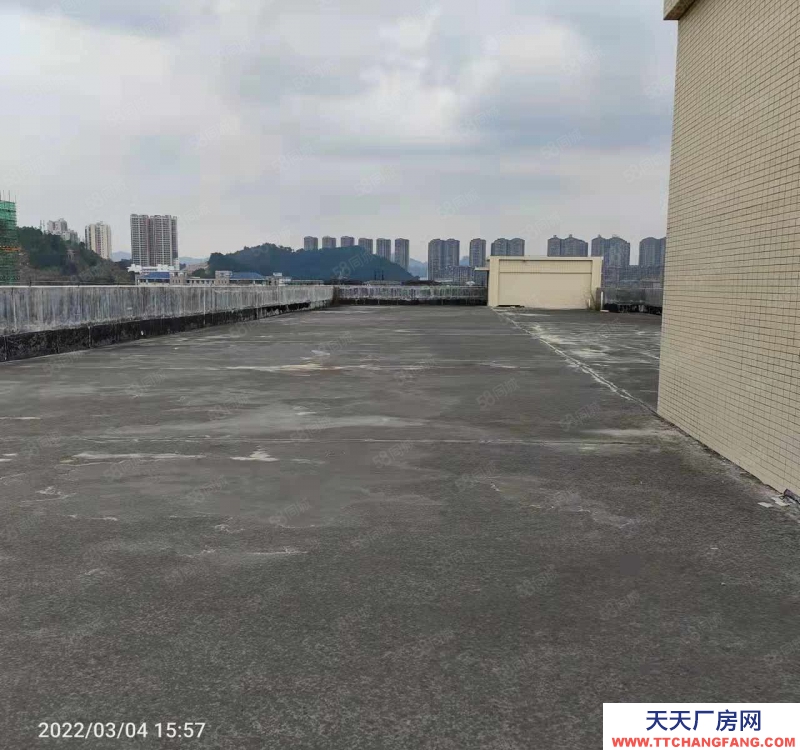 (出租) 梧州长洲三龙大道交流便利，出入方便，价格优美，大小车到门口