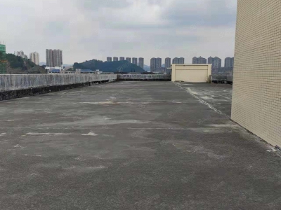 (出租) 梧州长洲三龙大道交流便利，出入方便，价格优美，大小车到门口图3