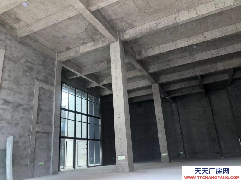 蔡家现房标准厂房/轻轨近公交旁物流园旁/所见即所得/买来即可用