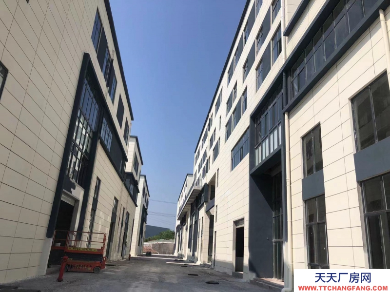 蔡家现房标准厂房/轻轨近公交旁物流园旁/所见即所得/买来即可用