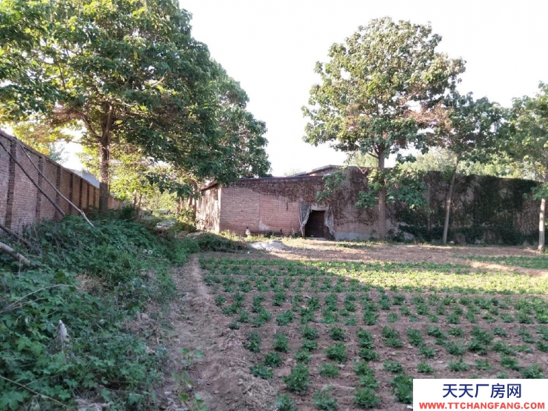 邯郸 永年县 出租闲置场地，面积8500平，另有部分厂房，分租也行
