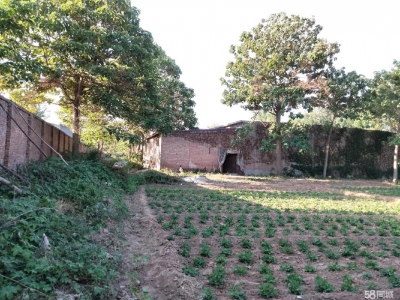 邯郸 永年县 出租闲置场地，面积8500平，另有部分厂房，分租也行图3